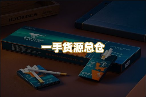 一手货源总仓